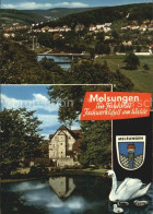 72439164 Melsungen Fulda Panorama Schloss Schwanenteich Adelshausen - Melsungen