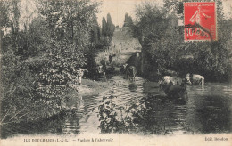 L'ile Bouchard * Un Coin Du Village Et Vaches à L'abreuvoir - L'Île-Bouchard