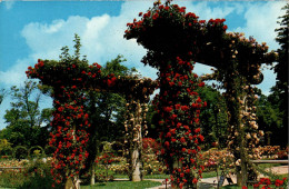 N°122143 -cpsm Marseille -le Parc Borély- - Parchi E Giardini