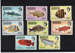 Barbuda. Serie Completa Y Nueva De Fauna (Peces) - Barbados (1966-...)