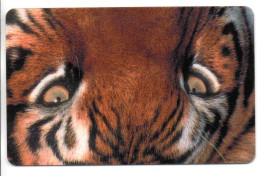Tigre Animal Félin Carte Prépayée Telefonica Italie 770 Unités  Card  (D 1026) - Schede GSM, Prepagate & Ricariche