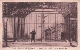 BOUFFEMONT-la Cage De "Teddy" Prise Du Château - Bouffémont