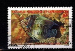 - Nelle Caledonie - 1988 - YT N° 551 - Oblitéré - Aquarium Noumea - - Usati