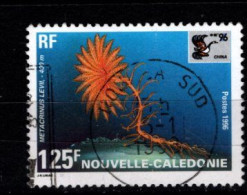 - Nelle Caledonie - 1996 - YT N° 712 - Oblitéré - Faune Marine - - Used Stamps