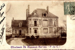 CHATEAU  DU HAMEAU        / SELLES   / TRES  RARE/  /// 30 - Châteaux