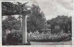 Saint Laurent Du Var Jardin Public 1951 - Saint-Laurent-du-Var