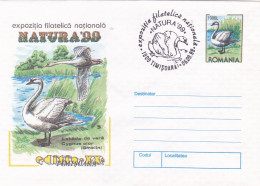 BIRDS DRUCKS,STATIONERY COVERS ,1999, ROMANIA - Eenden