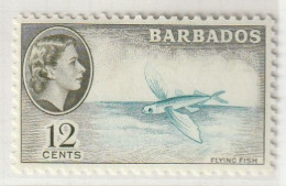 Barbados 1953, Postfris MNH, Flying Fish - Barbados (1966-...)