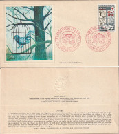 REUNION CFA Poste 432 FDC Saison Hiver Chat Cage 1974 Envelope Sérigraphie De Castelani - Briefe U. Dokumente