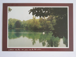 LYON (69/Rhône) - Parc De La Tête D'Or, Le Lac Avec Cygne - Lyon 6
