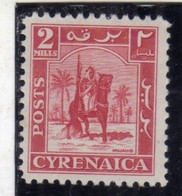 CIRENAICA CYRENAICA LIBIA 1950 AMMINISTRAZIONE AUTONOMA INDEPENDENT ADMINISTRATION CAVALIERE SENUSSITA 2m MNH - Cirenaica