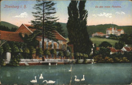 41107291 Ilsenburg Harz Zu Den Roten Forellen Teich Schwaene Ilsenburg - Ilsenburg