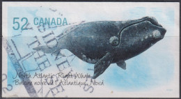 2007 Kanada ° Mi:CA 2428, Sn:CA 2230, Yt:CA 2307, North Atlantic Right Whale (Eubalaena Glacialis) - Gebruikt