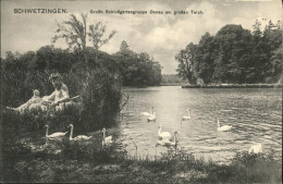 41105864 Schwetzingen Schlossgartengruppe Donau
Grosser Teich Schwetzingen - Schwetzingen