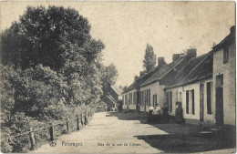 Paturages Bas De La Rue Du Côteau - Colfontaine