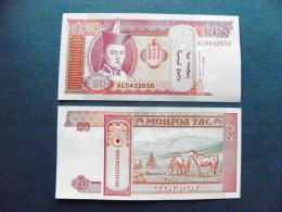 Banknote Mongolia UNC 20 Tugrik 1993 P-55 Soemba Arms Sukhe-battar Horses Animals Mountains - Mongolei