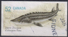 2007 Kanada ° Mi:CA 2430, Sn:CA 2232, Yt:CA 2309, White Sturgeon (Acipenser Transmontanus) - Oblitérés