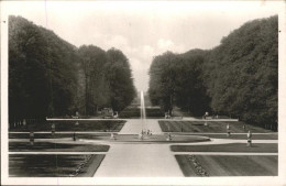 41105703 Schwetzingen Schlossgarten Schwetzingen - Schwetzingen