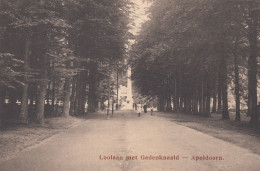 Apeldoorn - Loolaan Met Gedenknaald - Apeldoorn