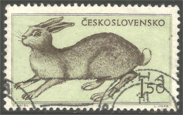AF-188 Ceskoslovensko Lapin Lièvre Rabbit Hare Hase Kaninchen Coelho Conejo Coniglio Konijn - Lapins