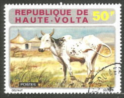 AF-204 Haute-Volta Boeuf Bull Vache Cow Kuh Koe Mucca Vacca Vaca - Koeien