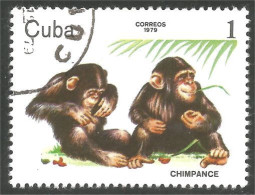 AS-193 Cuba Monkey Singe Chimpanzé Chimp Chimpance - Chimpanzés