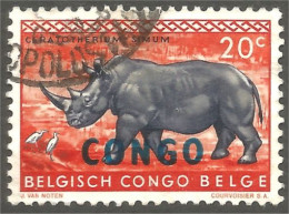 AS-16 Congo Surcharge Rhinocéros Rinoceronte Nashorn Neushoorn - Rhinocéros