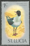 OI-94b Saint Lucia Mouette Rieuse Laughing Gull Möwe Gabbiano No Gum - Seagulls