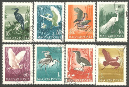 OI-71 Hongrie Cigogne Grue Heron Stork Stark Egret Garca-real - Kraanvogels En Kraanvogelachtigen
