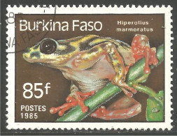RP-17 Burkina Faso Grenouille Frog Rana Kikker Frosch - Kikkers