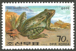 RP-7 Corée Grenouille Frog Rana Kikker Frosch - Grenouilles