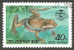 RP-9 Corée Grenouille Frog Rana Kikker Frosch - Grenouilles