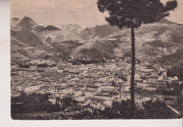 CARRARA  PANORAMA  VG  1958 - Carrara