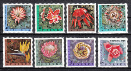 Polen 1968**, Blumen, Kaktus Coryphanta / Poland 1968,  MNH, Flowers, Cactus Coryphanta - Cactussen