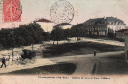 CPA HAUTE VIENNE / 87 / CHATEAUPONSAC / CHAMP DE FOIRE ET VIEUX CHATEAU - Chateauponsac