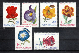 Rumänien 1971**, Blumen Aus Bot. Gärten, Kaktus / Romania 1971, MNH, Flowers From Bot. Gardens, Cactus - Cactus