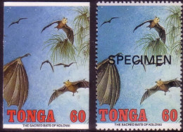 Tonga 1992 Cromalin Proof  + Specimen - Bat - 4 Exist - More Details In Description - Fledermäuse