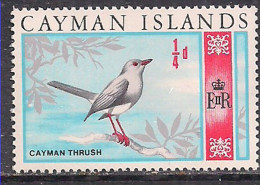 Cayman Islands 1969 QE2 1/4d Cayman Thrush MNH SG 222 ( L843 ) - Iles Caïmans