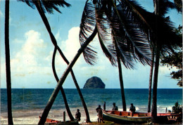 13-2-2024 (4 X 10) Martinique - Saint Anne (Le Diamant And Palm Trees) Dated 1979 - Alberi