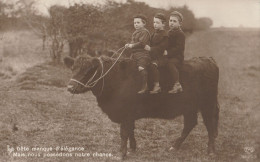 VIL2024 -   ENFANTS ASSIS SUR UN TAUREAU   LA BETE MANQUE D'ELEGANCE CPA  CIRCULEE - Taureaux