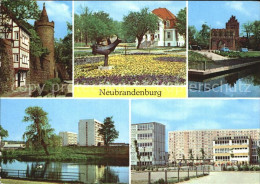 72418397 Neubrandenburg Wiekhaus Moenchenturm Stadtpark Treptower Tor Schwanente - Neubrandenburg