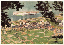 ALLEMAGNE - Der Rhein - Assmannshausen - Carte Postale - Ruedesheim A. Rh.