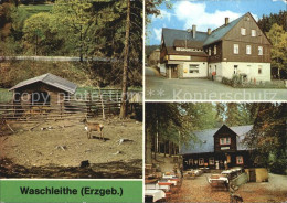 72413924 Waschleithe Tierpark Gaststaette Osterlamm Und Koehlerhuette Beierfeld  - Grünhain