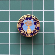 Badge Pin ZN013171 - Football Soccer Calcio England Spelthorne Sports - Football