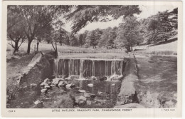 Little Matlock, Bradgate Park. Charnwood Forest - (England, U.K.) - Tuck's Postcard - Sonstige & Ohne Zuordnung