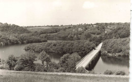 FRANCE - Isigny Le Buat - Les Biards Par Isigny Le Buat - Vue Générale Du Paysage Et Le Pont - Carte Postale Ancienne - Autres & Non Classés