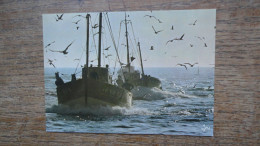 Bateaux De Pêche Secteur Du Guilvinec - Guilvinec