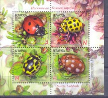 2015. Belarus, Insects, Ladybirds, S/s, Mint/** - Belarus