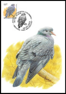 CM/MK° - 3069 - Pigeon Colombin / Holenduif / Stock Taube - BUZIN - BSL-BXL - 06-05-2002 - 1er Tirage/1ste Druk - Pigeons & Columbiformes