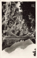 FRANCE - St Sauveur - Vue Générale - Le Pont Napoléon (haut Au-dessus Du Gave 65 M) - Carte Postale Ancienne - Luz Saint Sauveur